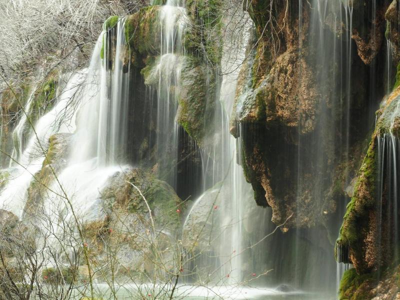 Cabañas El Llano de los Conejos