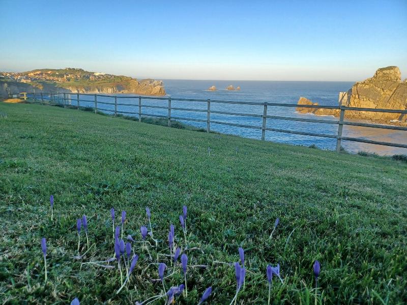 La Venta Del Mar image