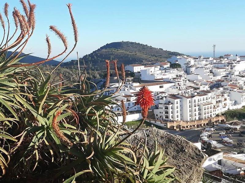 Millers Of Frigiliana image