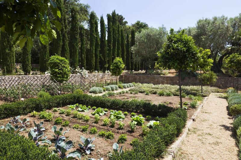 Domaine Les Mésanges — general view