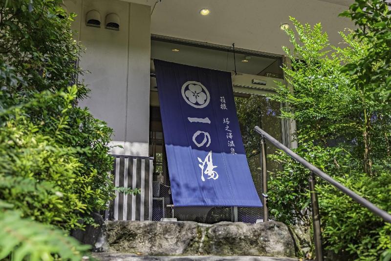 Tōnosawa Ichinoyu Shinkan image