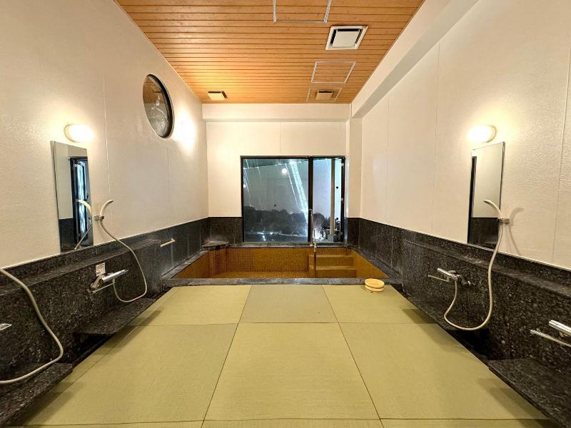 Tōnosawa Ichinoyu Shinkan image