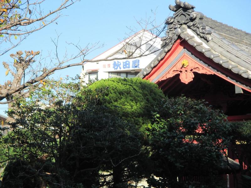 Akitaya image
