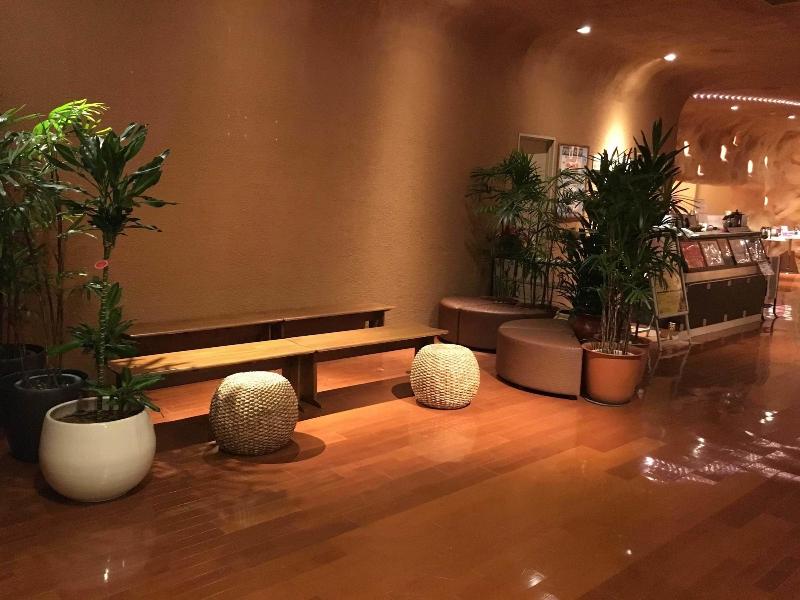 Spa & Hotel Maihama Eurasia image