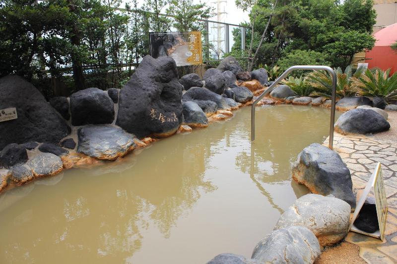 Spa & Hotel Maihama Eurasia image