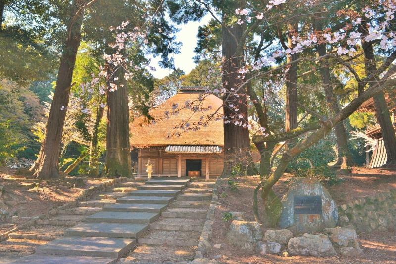 Oyo Hamanako No Yado image