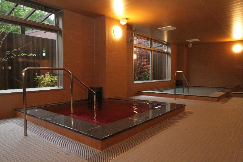 Fujizakura Hotel image
