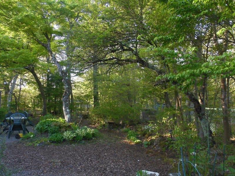 Pension Mori image
