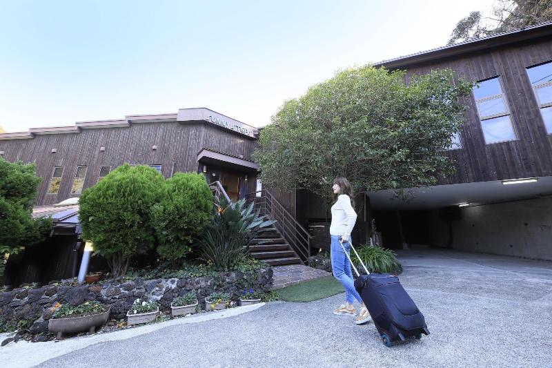 Welcome Inn Sunny Steps image