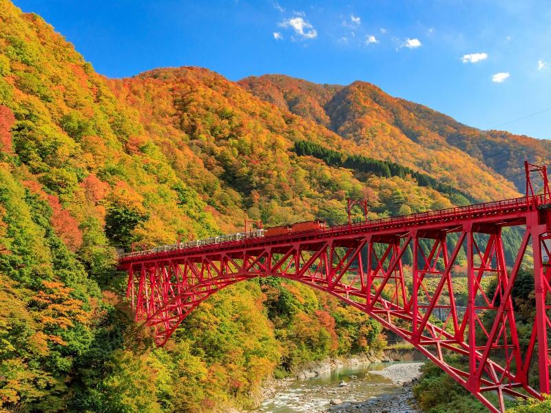 Yukai Resort Kurobe Unazukionsen Unazuki Grand Hot