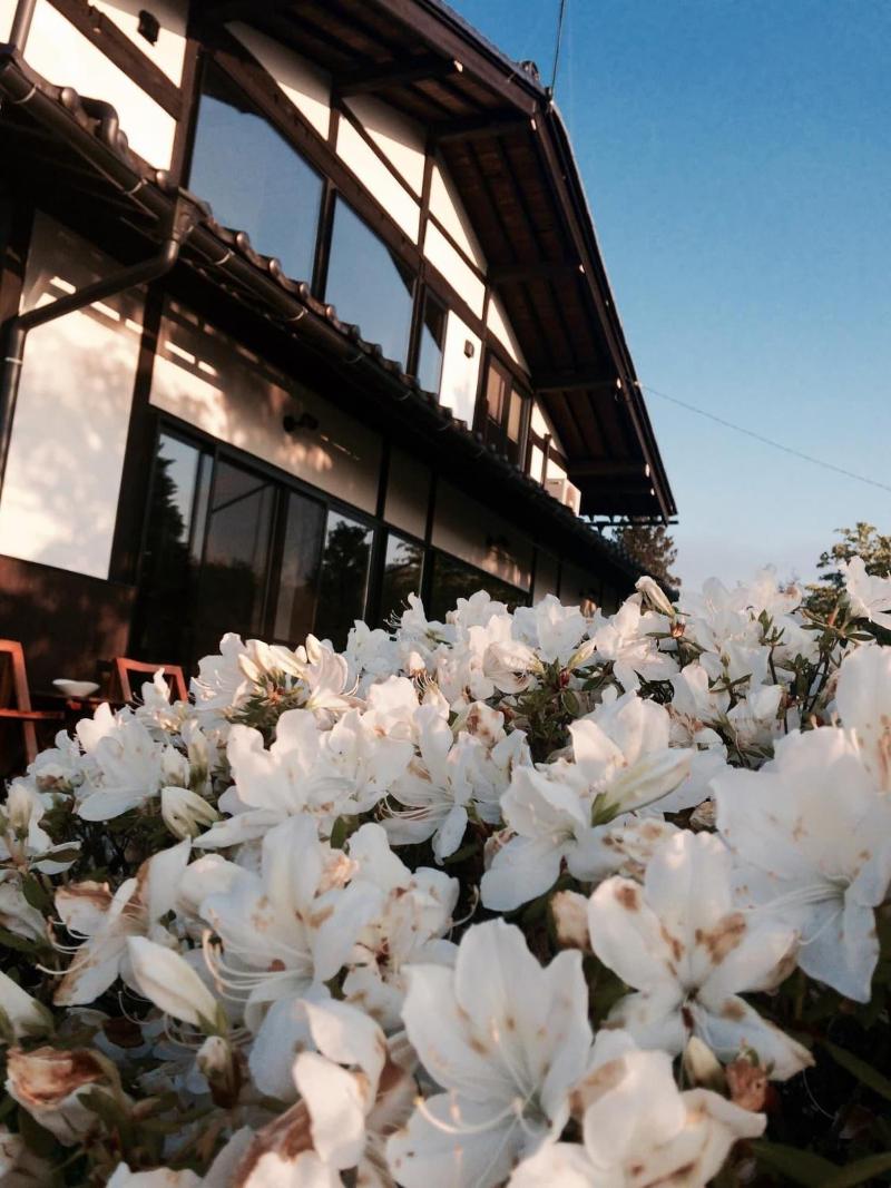 Guest house & Cafe SOY