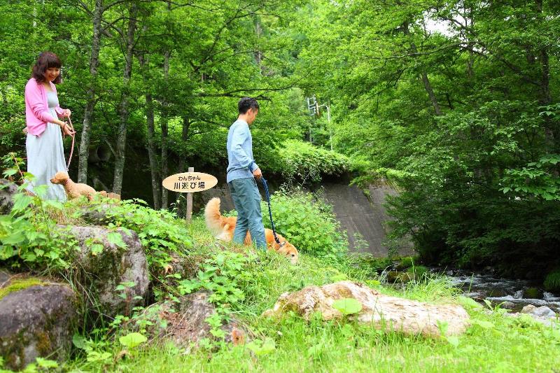 Izumigo Takayama Dog Paradise Hotel image