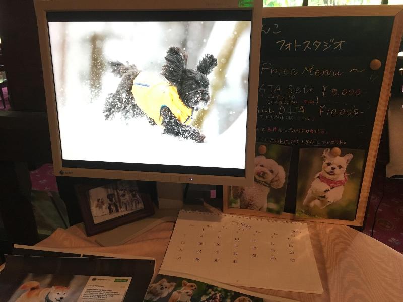 Izumigo Takayama Dog Paradise Hotel image