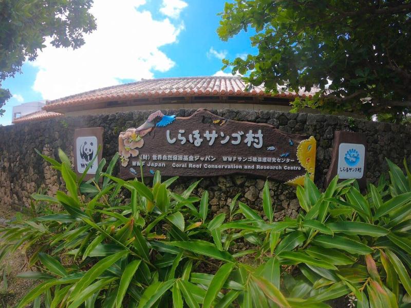 guest house Holoholo beach side - Hostel image
