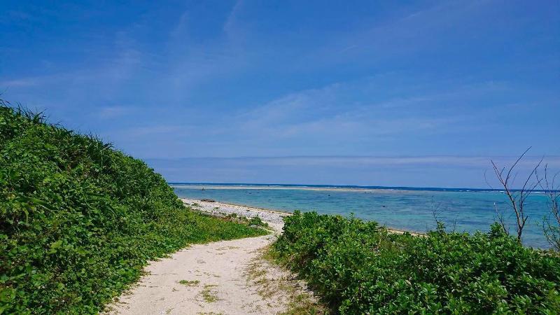 guest house Holoholo beach side - Hostel image