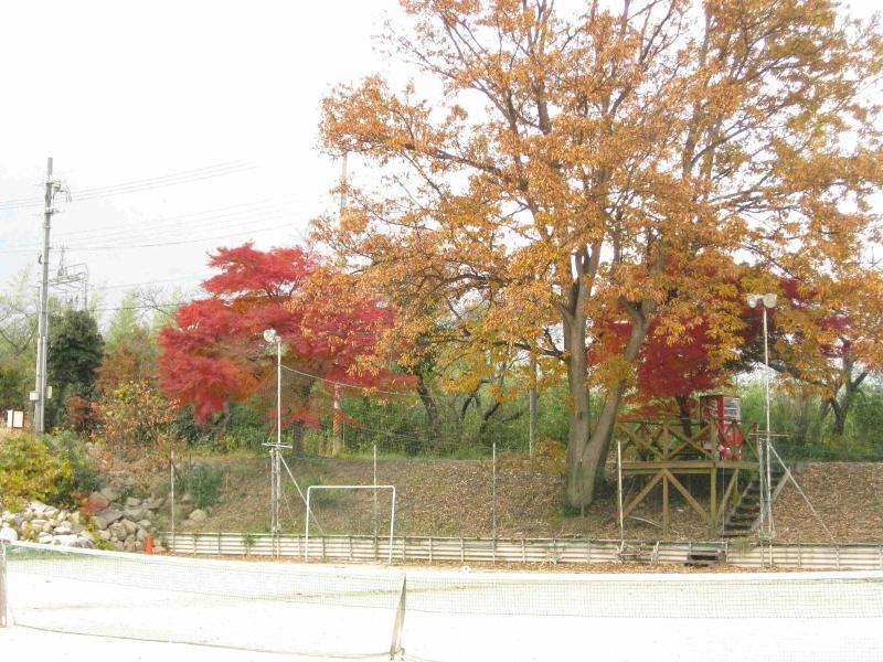Onsen Hotel Holiday Afternoon image