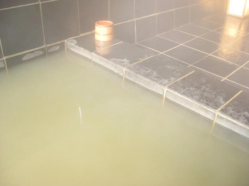 Onsen Hotel Holiday Afternoon image