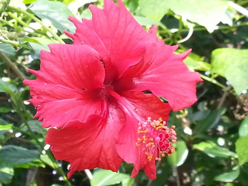 Minshuku Myojoso - Image 9