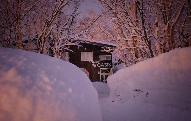 Annupuri Oasis Lodge — general view
