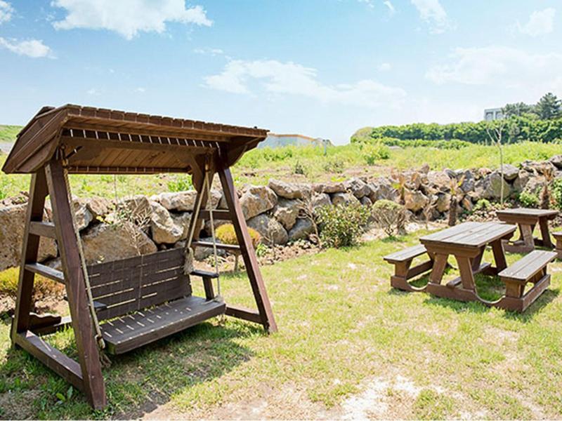 Petit Jeju Victor