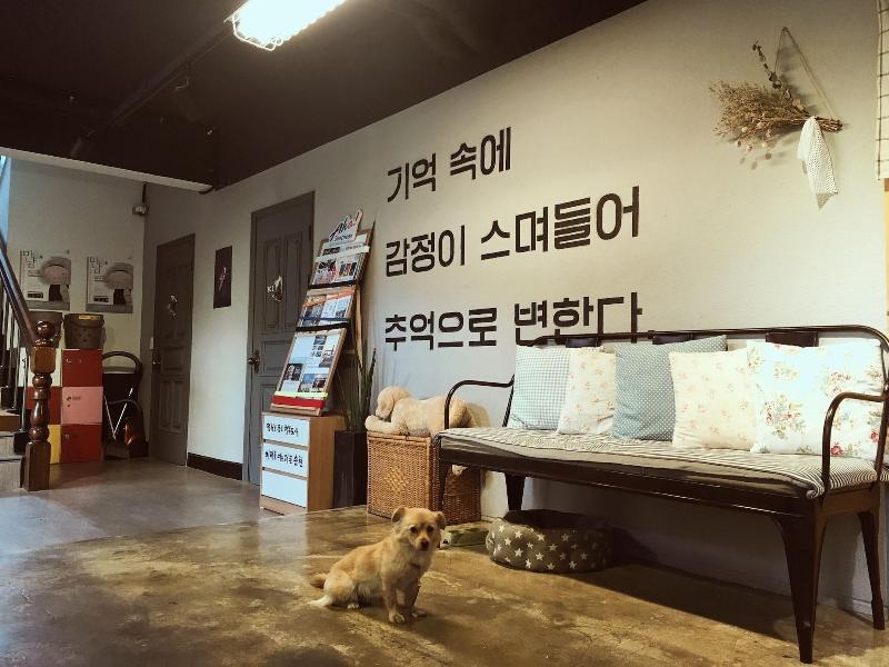 Suncheon Guesthouse Nreem image