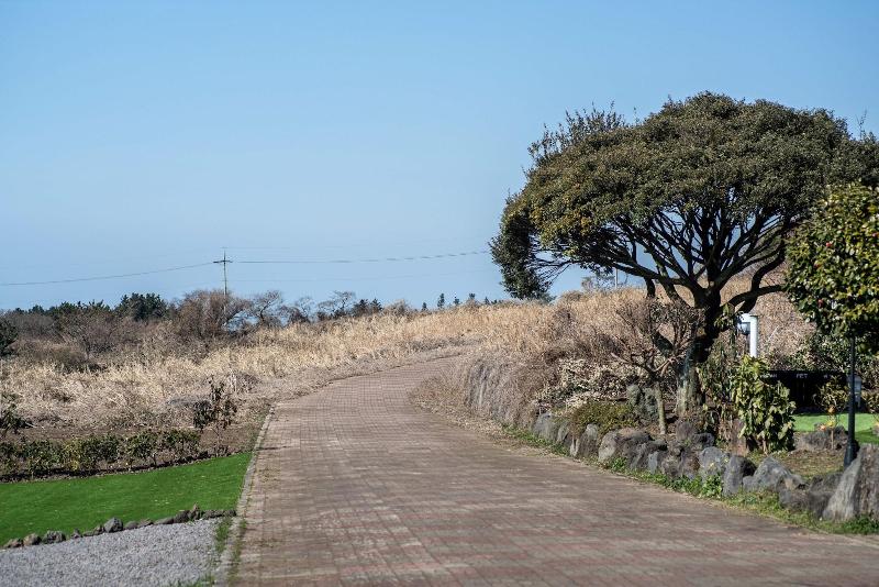 Jeju Nollmung image