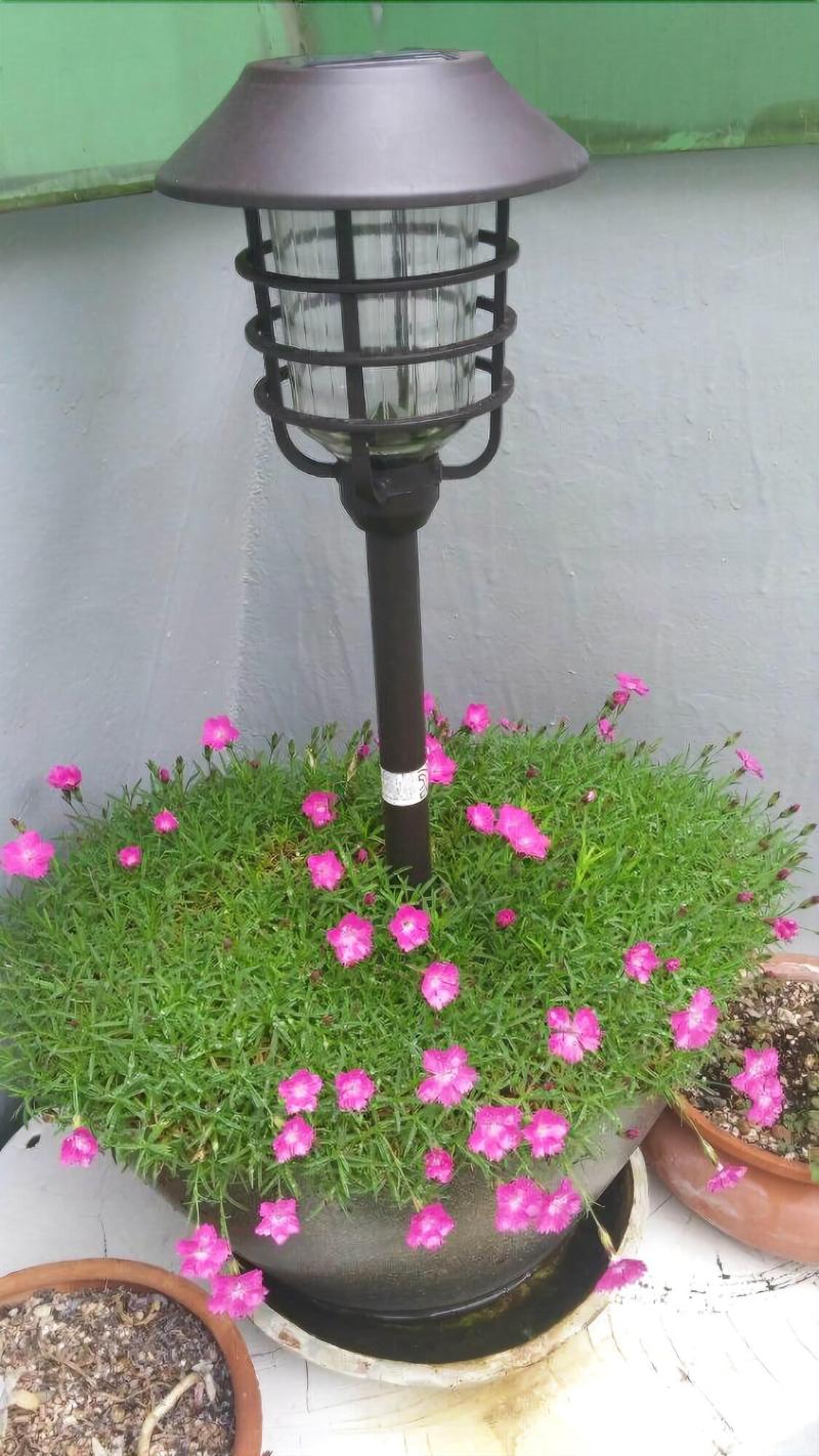 Riverside Guest House image