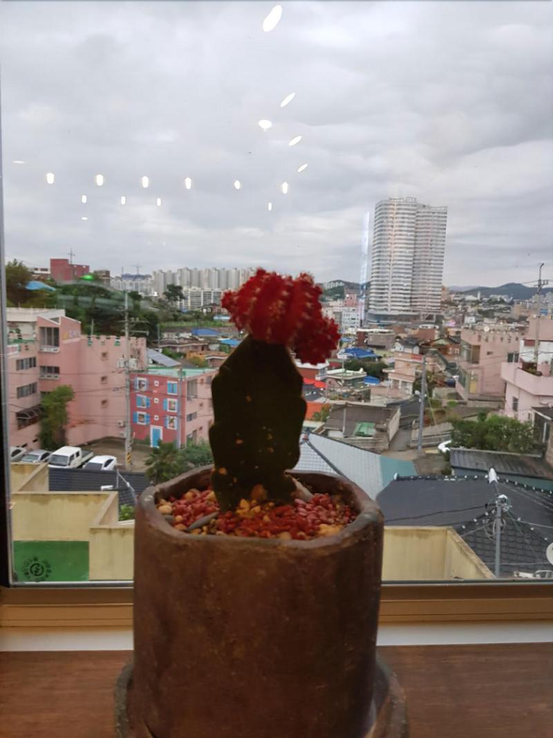 Mokpo White Windmill Guesthouse