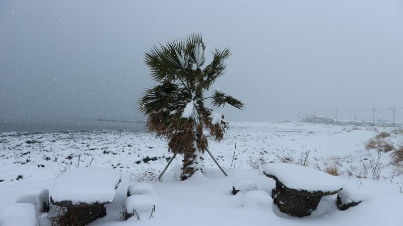 Blue Island Guesthouse - Hostel image
