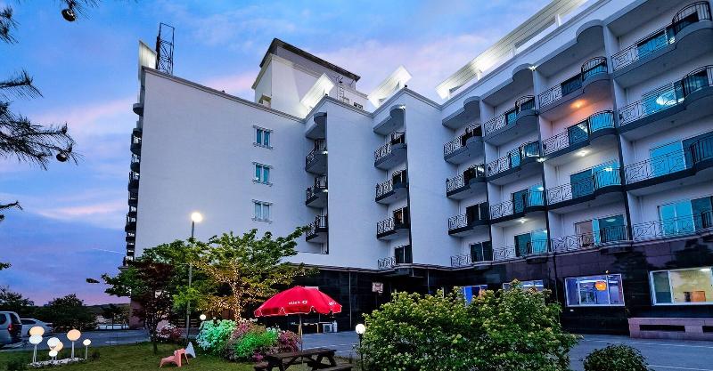 Sea Star Resort Donghae image