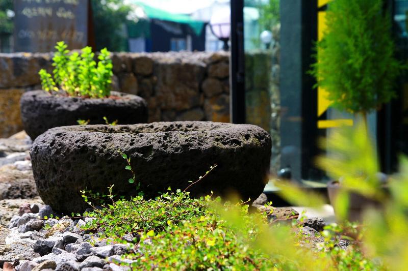 Jeju Baraki image