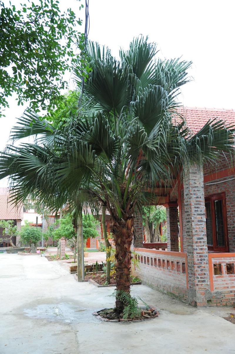Ninh Binh Eco Garden image