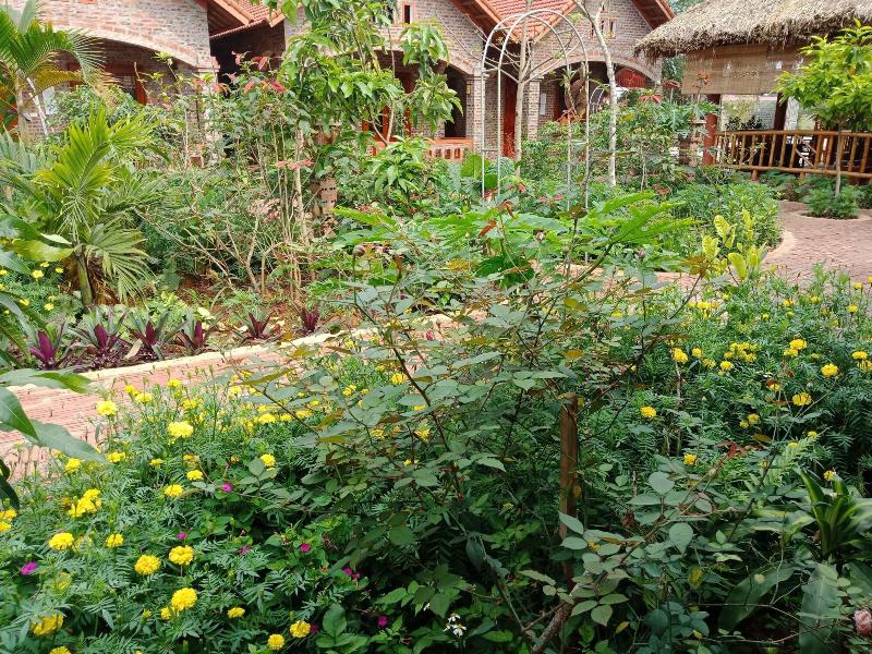 Ninh Binh Eco Garden image
