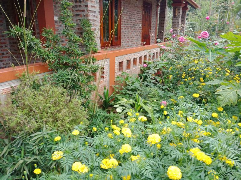 Ninh Binh Eco Garden image