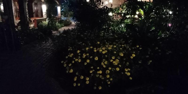 Ninh Binh Eco Garden image