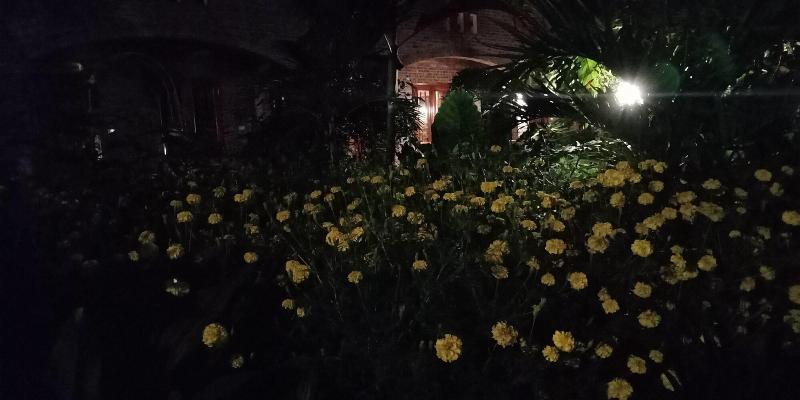 Ninh Binh Eco Garden image