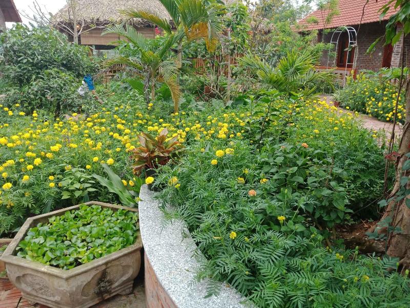 Ninh Binh Eco Garden image