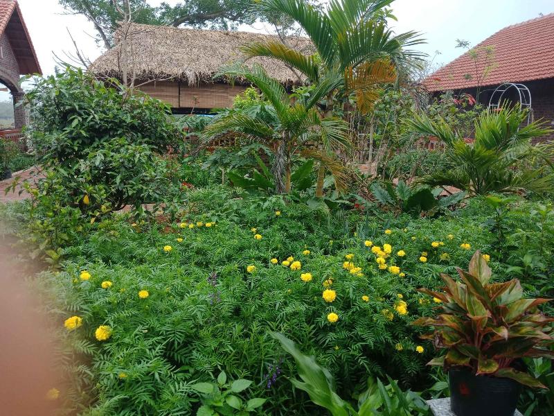 Ninh Binh Eco Garden image