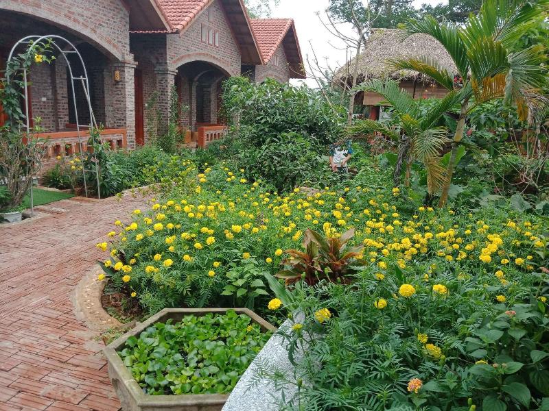Ninh Binh Eco Garden image