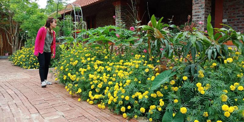 Ninh Binh Eco Garden image