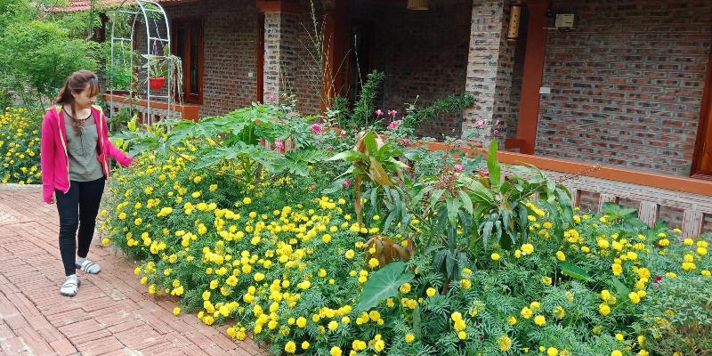 Ninh Binh Eco Garden image