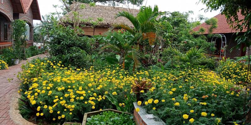 Ninh Binh Eco Garden image