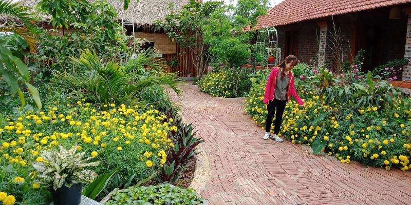 Ninh Binh Eco Garden image