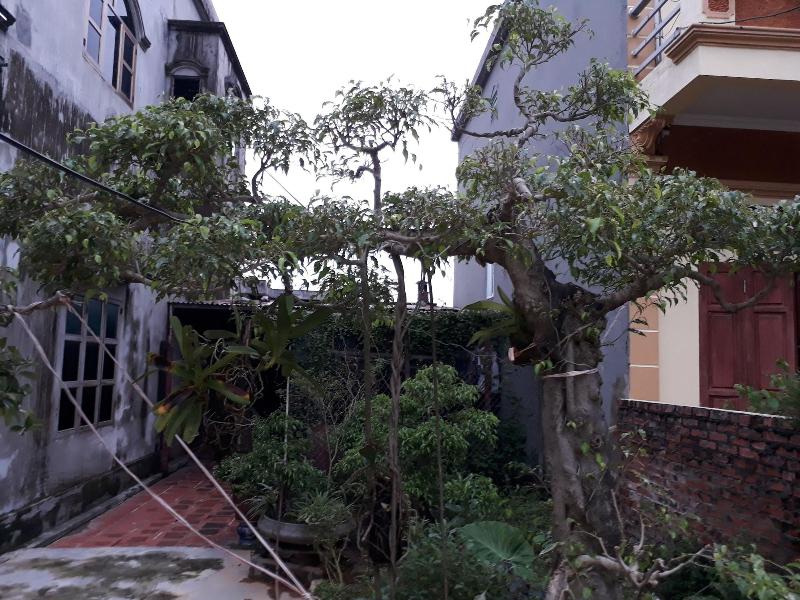 Tamcoc White Swan Hostel image