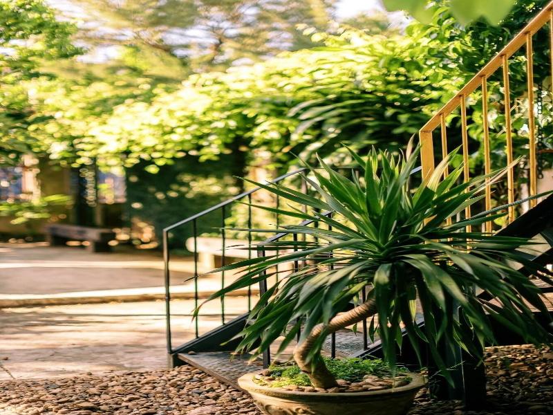 Trai Hoa Vang Homestay - Hostel image
