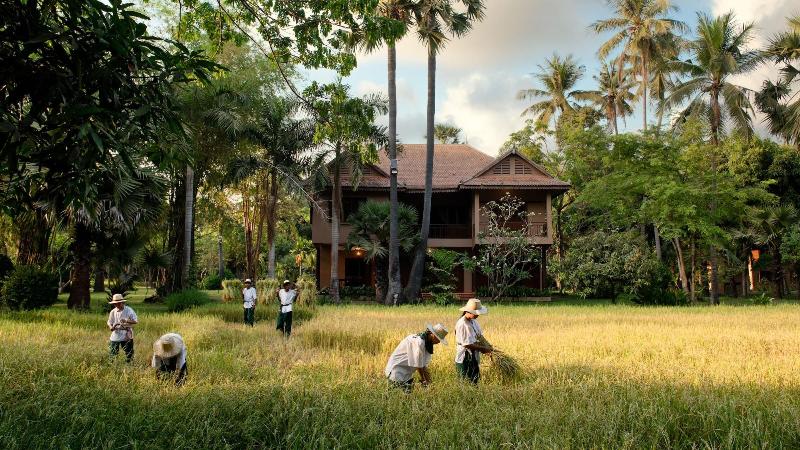 Mane Family Vacation image