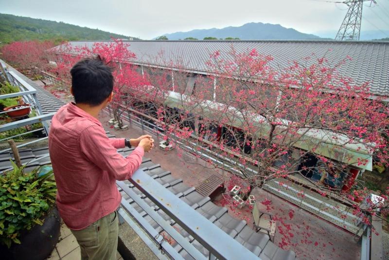 Sanyi Wei Wei Feng image