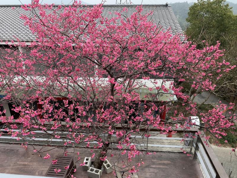 Sanyi Wei Wei Feng image
