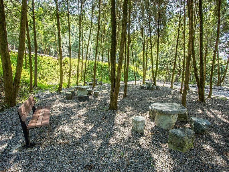 Baishengcun Coffee Farm image