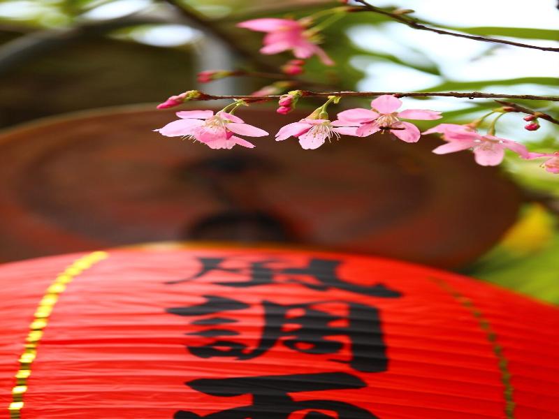 Zhuo Ye Cottage image